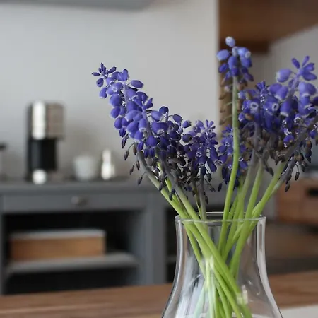 Ferienhaus Nadia Holiday home *